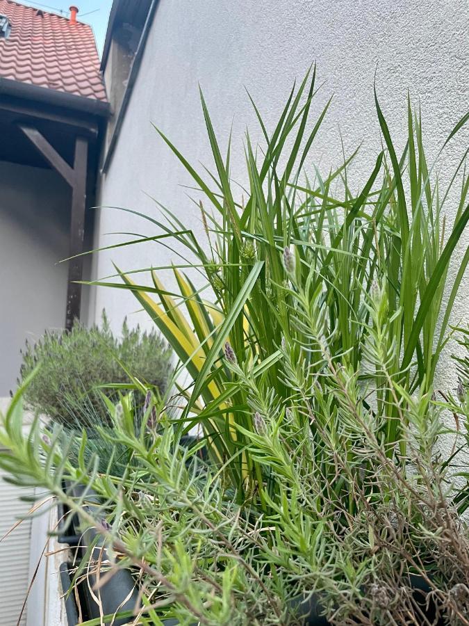 Ubytovani U Mikesa Břeclav Exterior foto