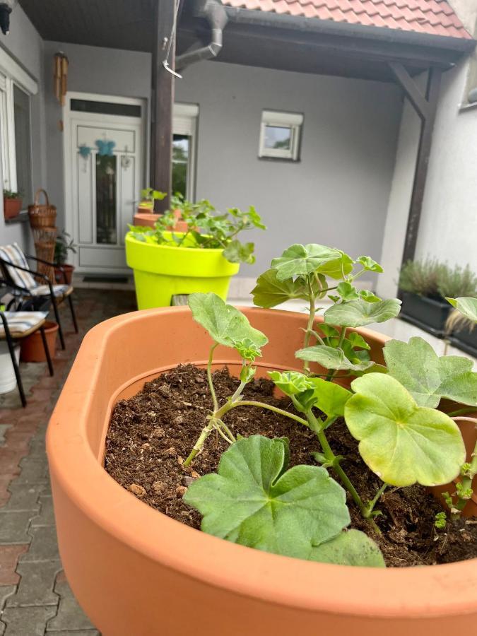 Ubytovani U Mikesa Břeclav Exterior foto